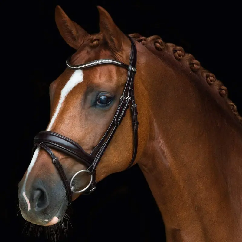 Schockemöhle Stanford Dressage Bridle 1