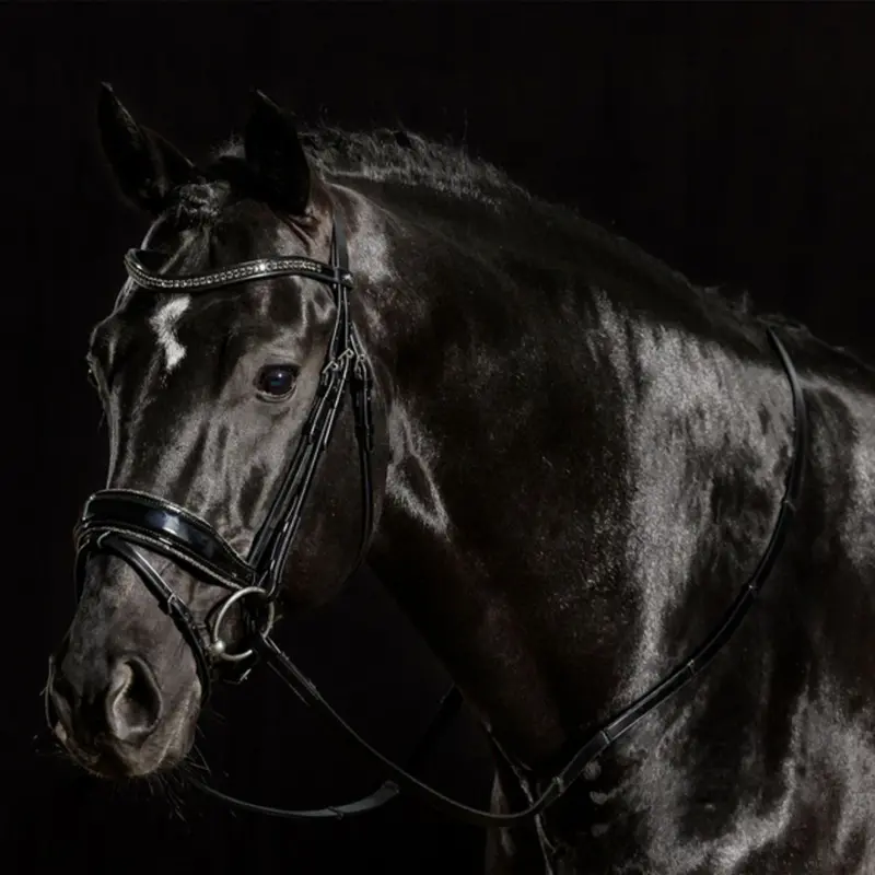 Schockemöhle Stanford Glam Dressage Bridle 1