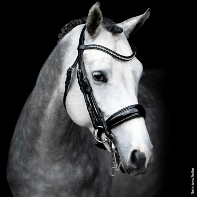 Schockemöhle Venice Dressage Double Bridle 1
