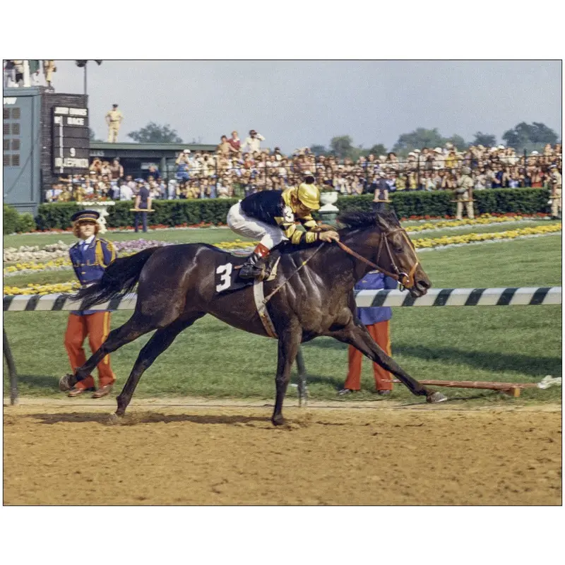 Seattle Slew At Kentucky Derby 1