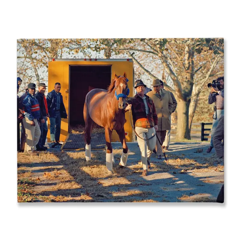 Secretariat Arrival, Stretched Canvas 1