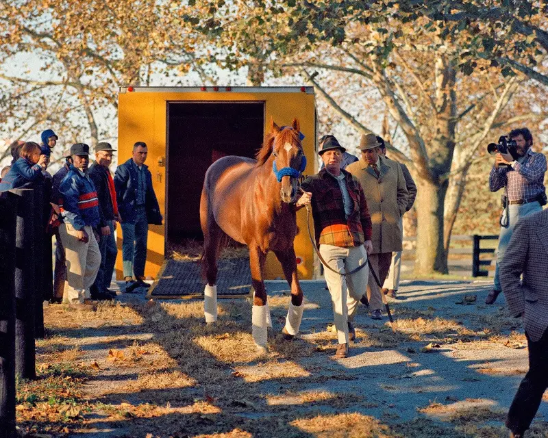 Secretariat Arriving At Claiborne 1