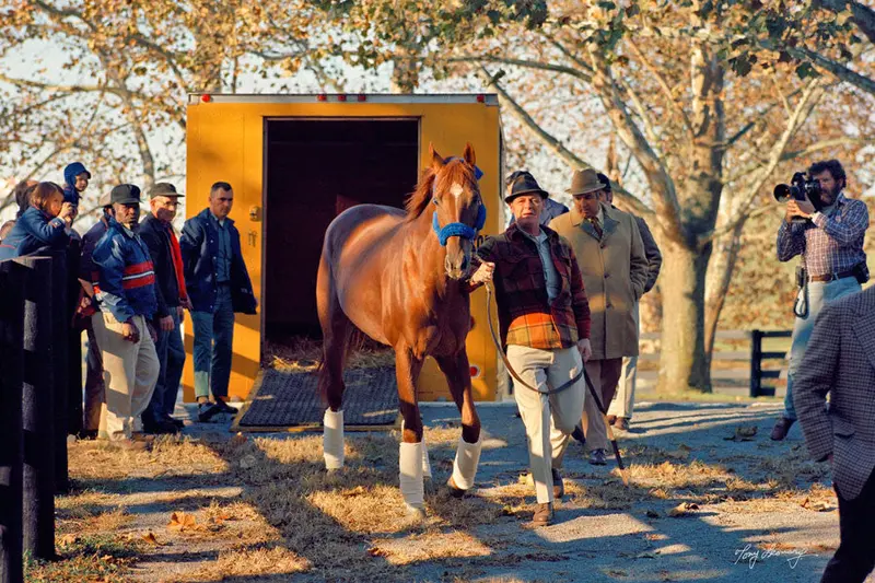 Secretariat Arriving Poster 1