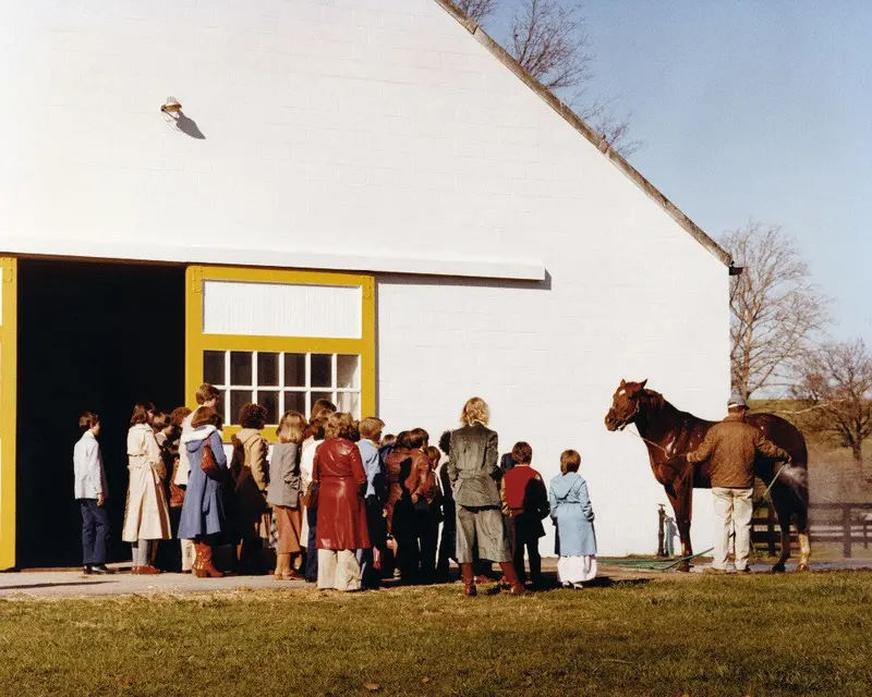 Secretariat Getting His Bath 1