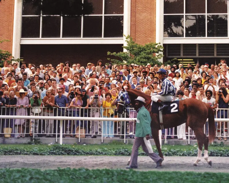 Secretariat In The Paddock At Belmont 1