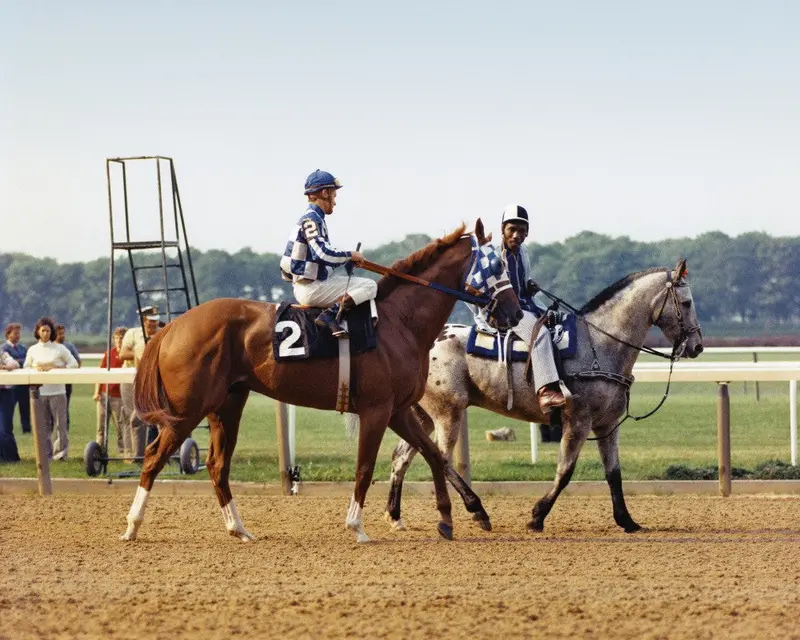 Secretariat On The Track 1
