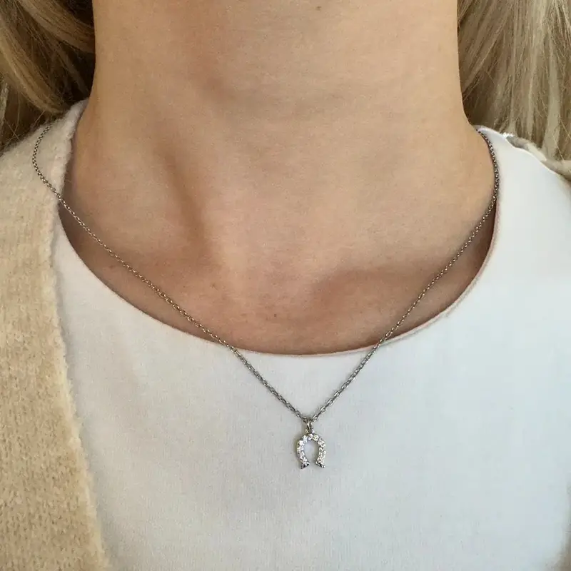 Silver Lucky Horseshoe Necklace 1