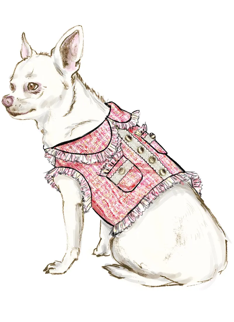 Simplicity Dog Coats S9970 1