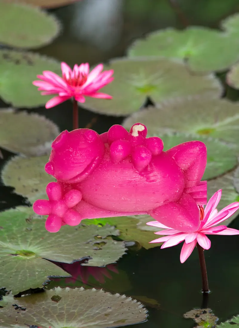 Small Pink Frog Candle | Redoux X Collina Strada 1
