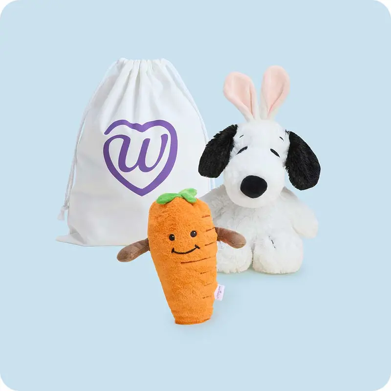 Snoopy’S Springtime Duo 1
