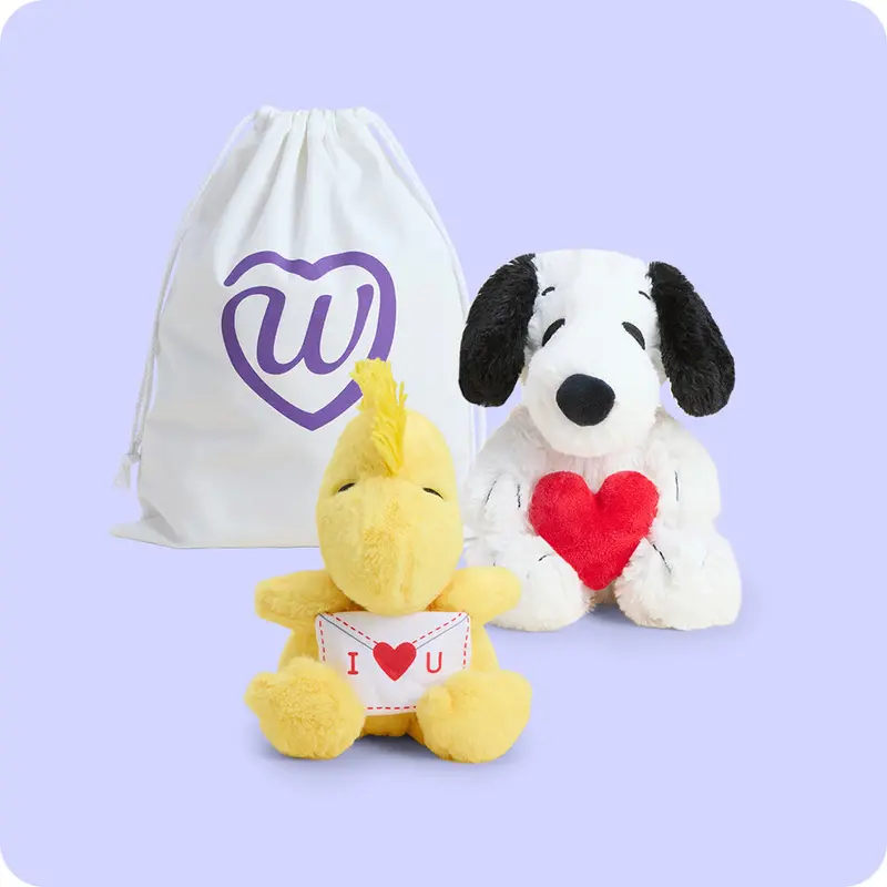 Snoopy's Sweetheart Duo 1