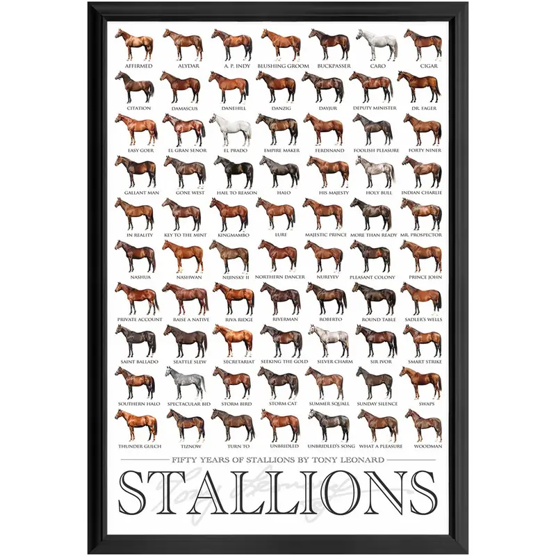 Stallion Poster, Framed 2