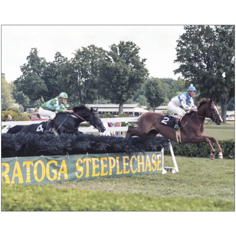 Steeplechase At Saratoga 1