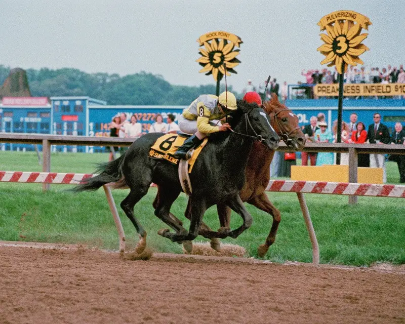 Sunday Silence And Easy Goer Battle 1