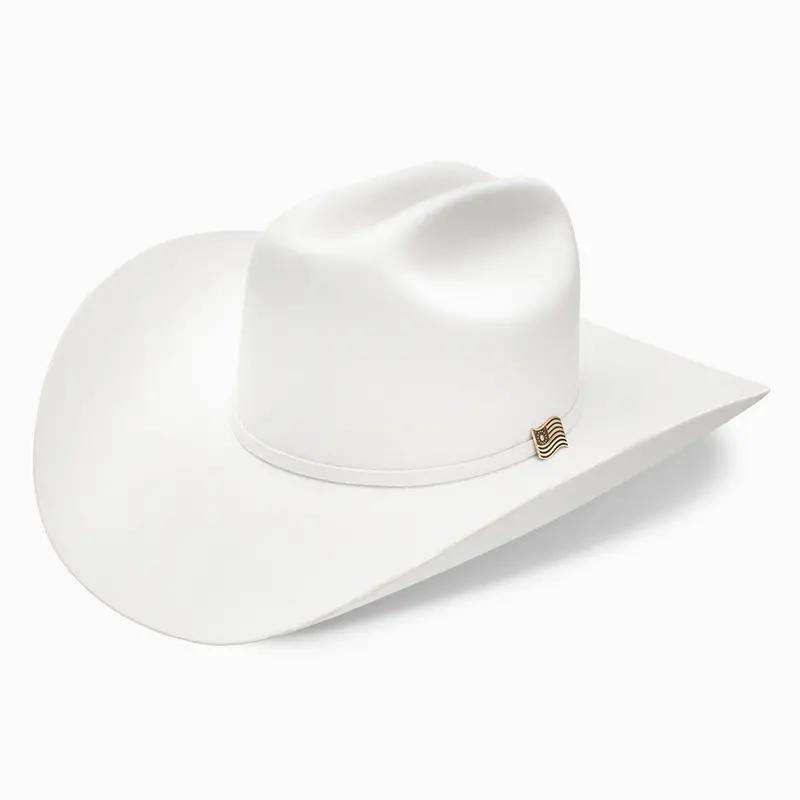 The Resistol 1776 1