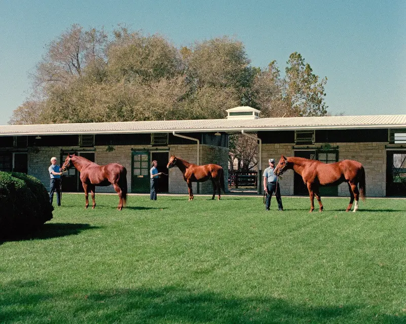 Three Generations Of Sires 1