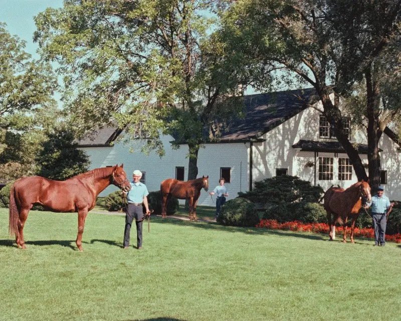 Three Generations: One Barn 1