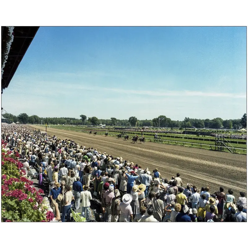 Travers Crowd At Saratoga 1