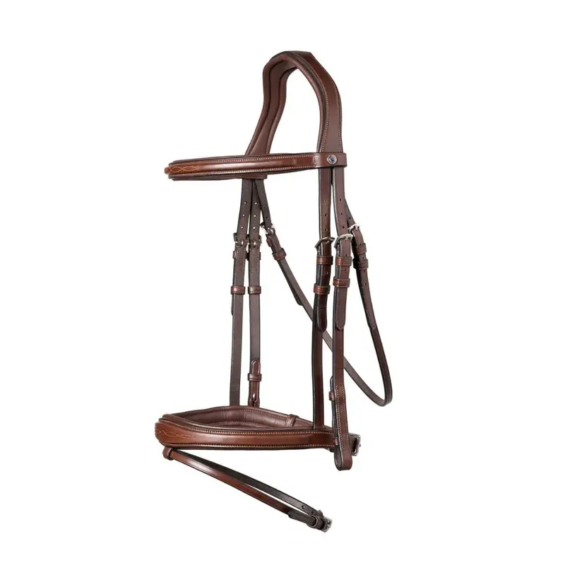 Trust Amsterdam Bridle 1