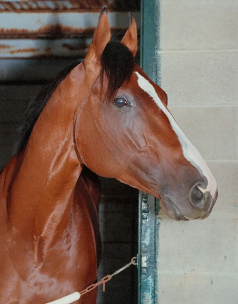 Unbridled At Keeneland 1