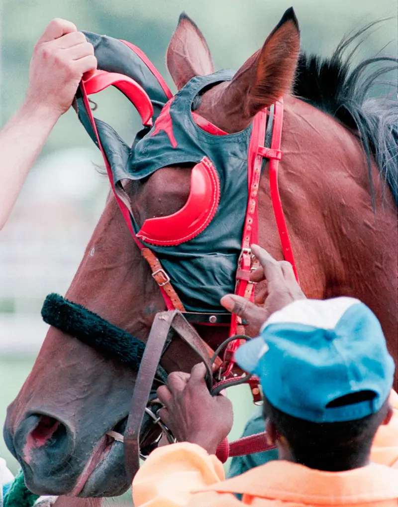 Unmasking At Saratoga 1