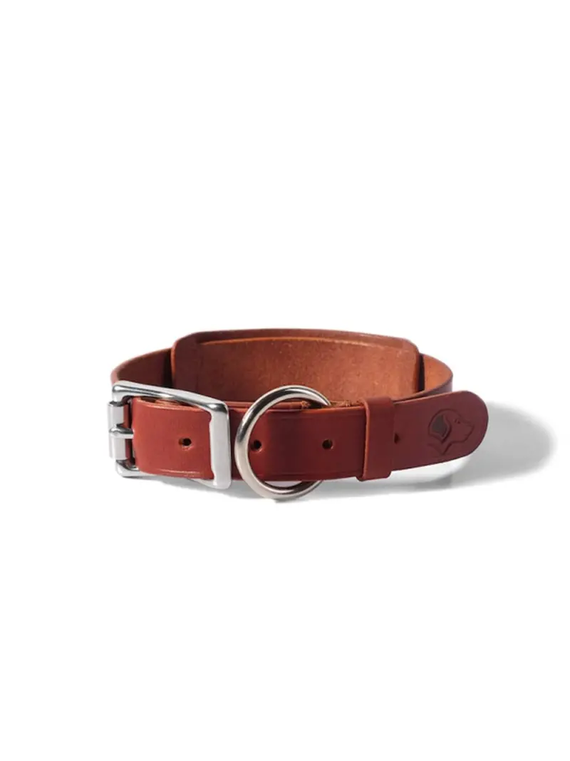 Voyej Dog Collar Chestnut 1