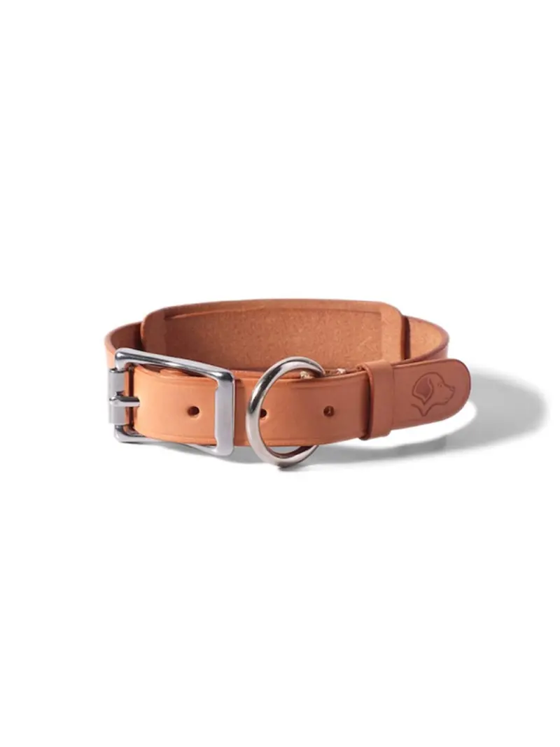 Voyej Dog Collar Natural 1