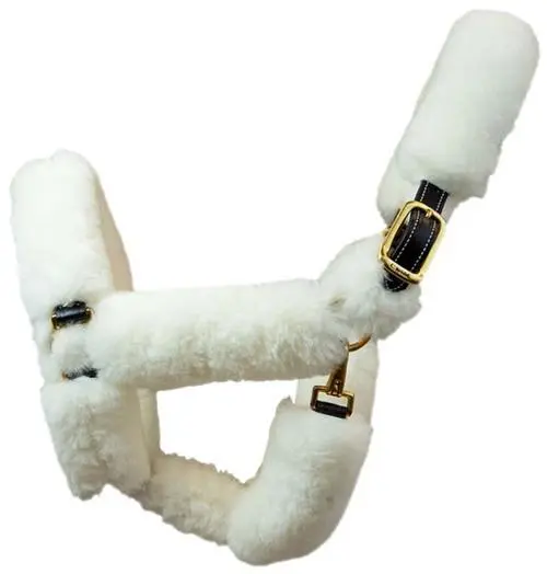 Walsh Fleece Shipping Halter 1