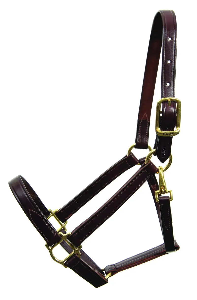 Walsh Heritage Halter 1