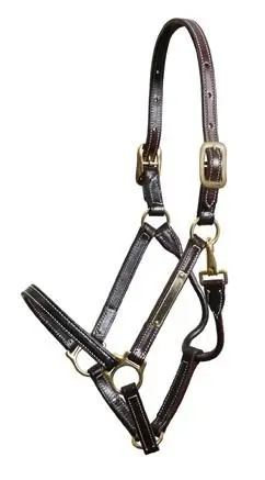 Walsh Showman Halter 1